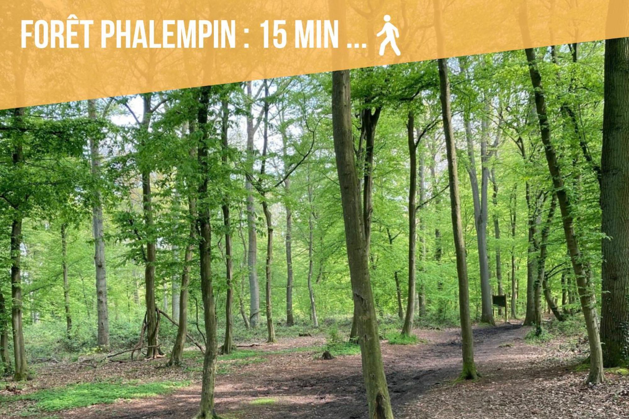 Gite Le Duplex - 5Min De La Gare Vers Lille-Lens-Arras Phalempin Dış mekan fotoğraf